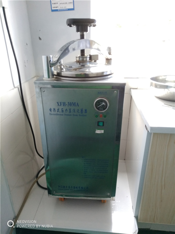 电热式压力蒸汽灭菌器